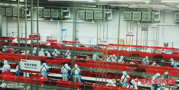 质量和安全铸就双汇食品魂——河南省肉类协会走进工厂看双汇信息系统