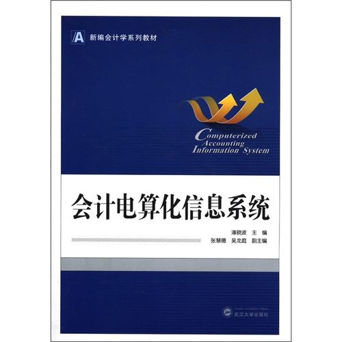 会计电算化信息系统 构建、应用与未来展望